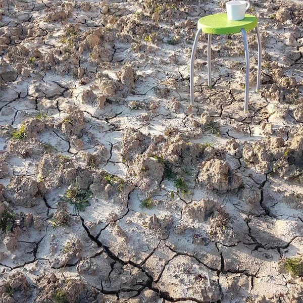 Version Five O'clock confinée